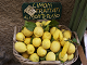 Online citron pussel fr barn